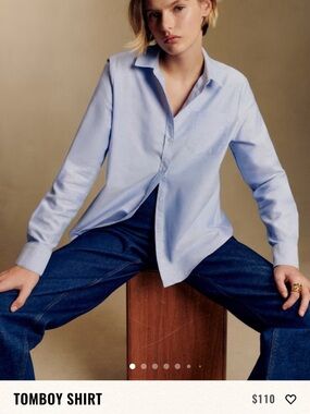 Sezane blue tomboy button down shirt